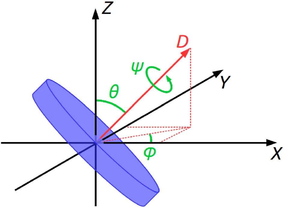 Les différentes forces auxquelles est soumis le disque, avec Z : moment angulaire, θ : angle d’inclinaison et D : axe de rotation.
